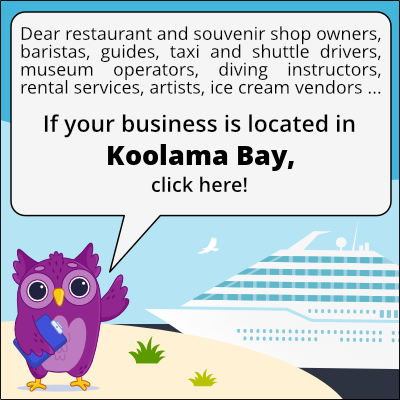 to business owners in Baia di Koolama
