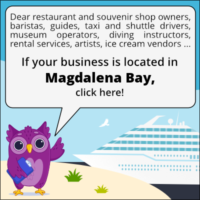 to business owners in Baia di Magdalena