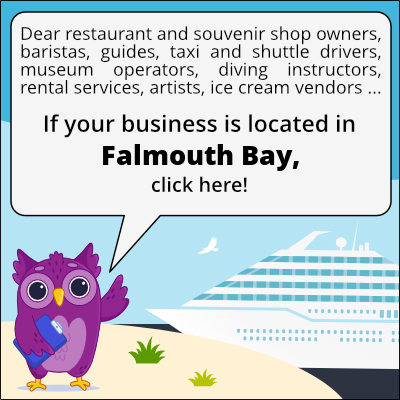 to business owners in Baia di Falmouth